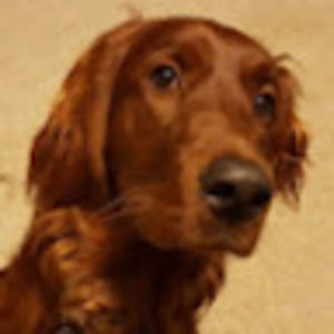 Meet your Posher, Bethany